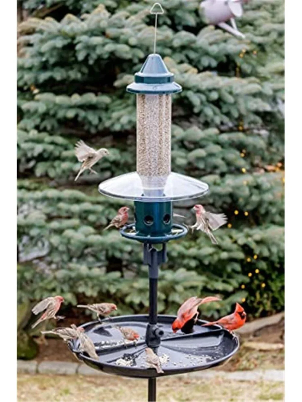 New Squirrel Buster Plus Squirrel-proof Bird Feeder w/Cardinal Ring and 6 Feedin